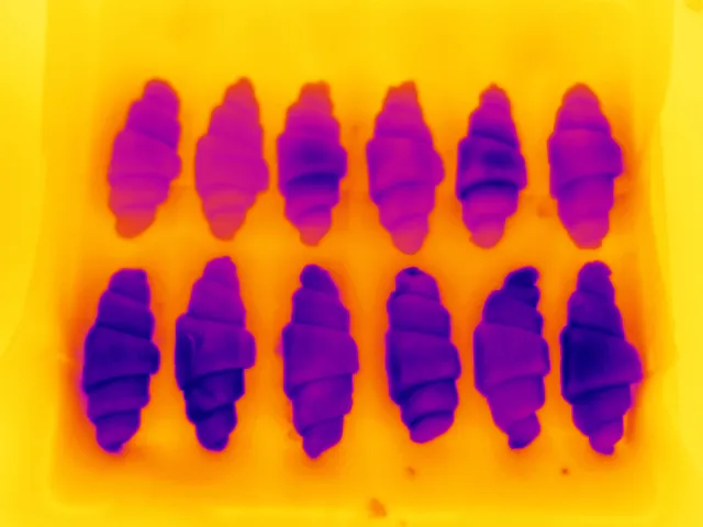 적외선 영상 솔루션을 활용한 플라스틱 포장 식품의 자동 검사